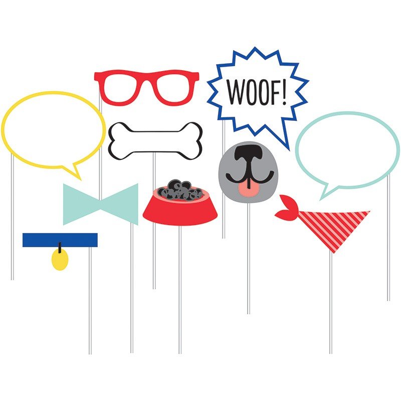 10 accessoires pour séance photo pour fête canine