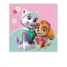 20 TOVAGLIOLI 33 CM SKYE PAW PATROL
