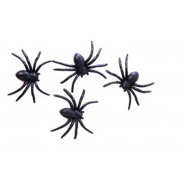 4 ragni di Halloween