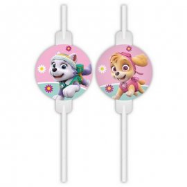 4 cannucce di carta Paw Patrol Skye
