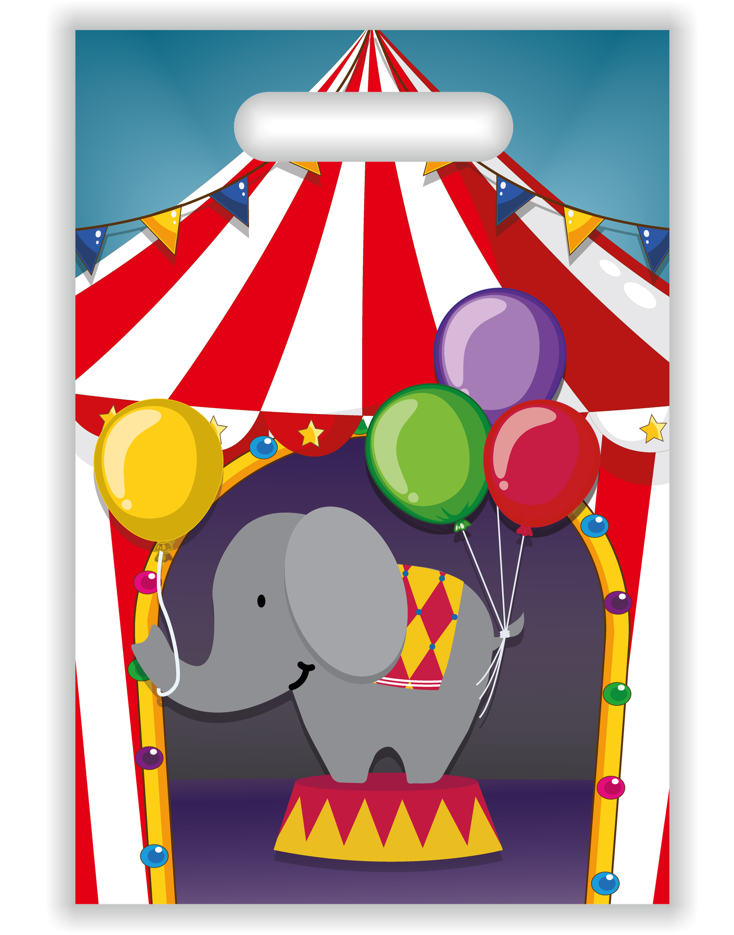 6 borse da circo