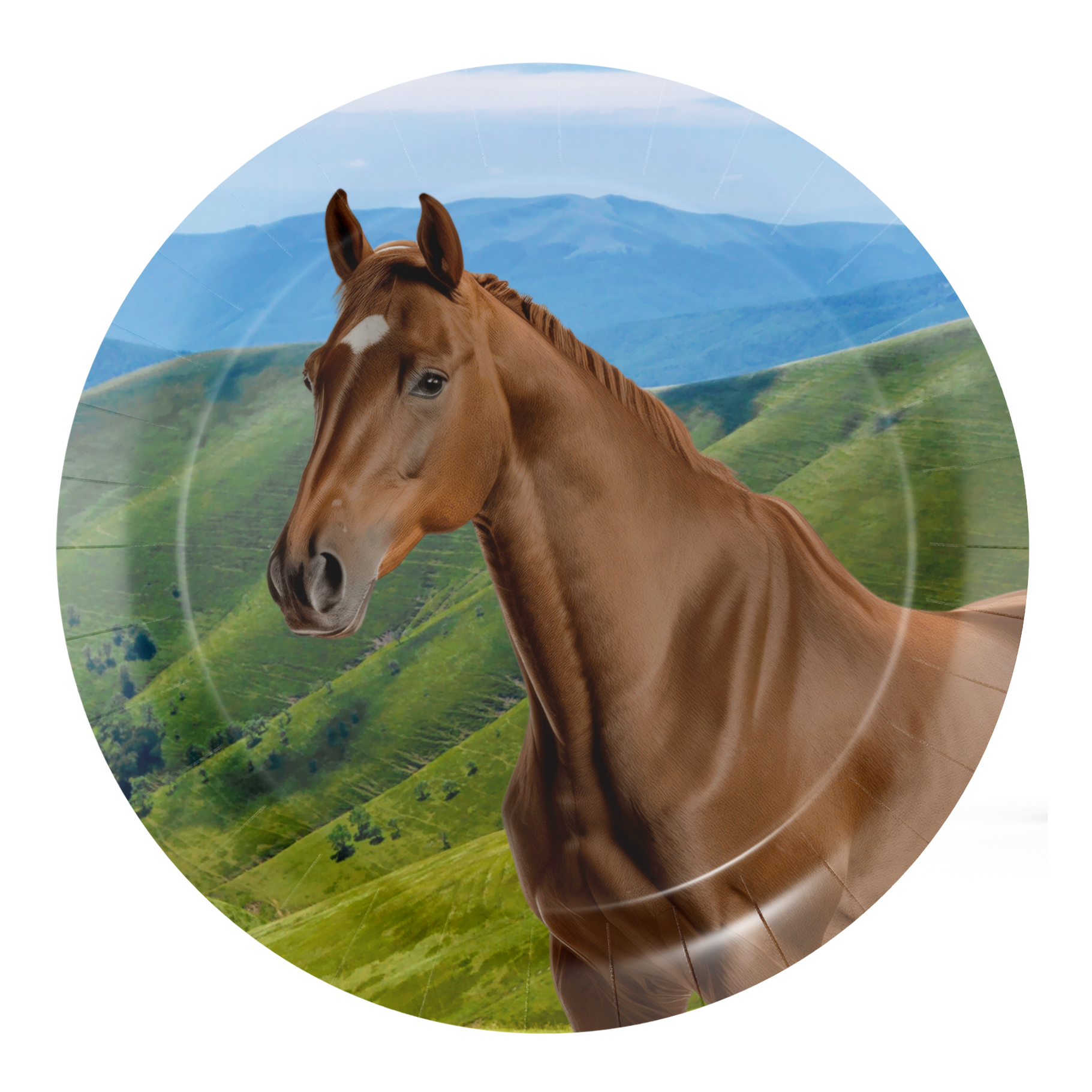 8 Piatti Cavallo e Pony 18 cm