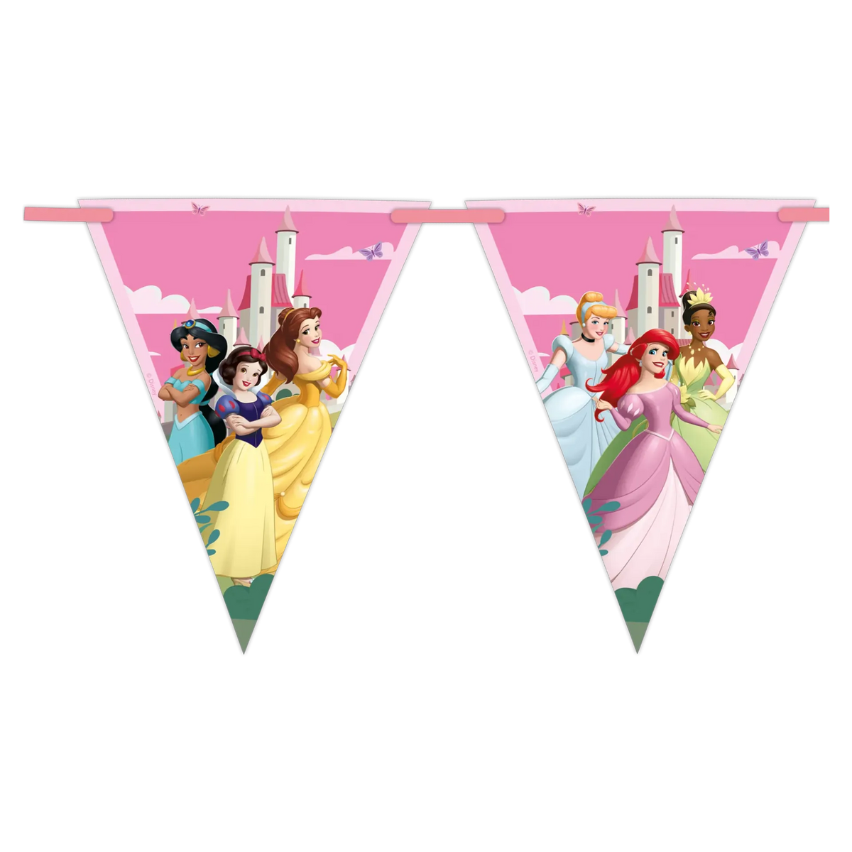 STRISCIONE DELLE PRINCIPESSE DISNEY WORLD