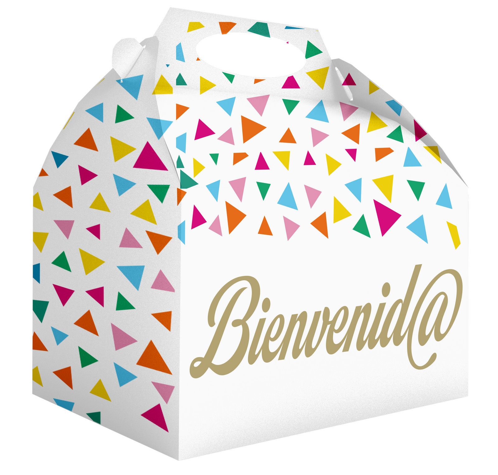 Boîte de bienvenue 20 x 16 x 11 cm