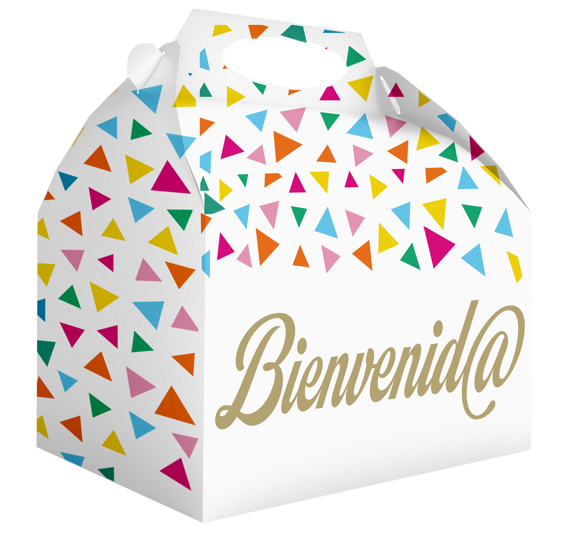 Caja Bienvenida 20 x 16 x 11 cm