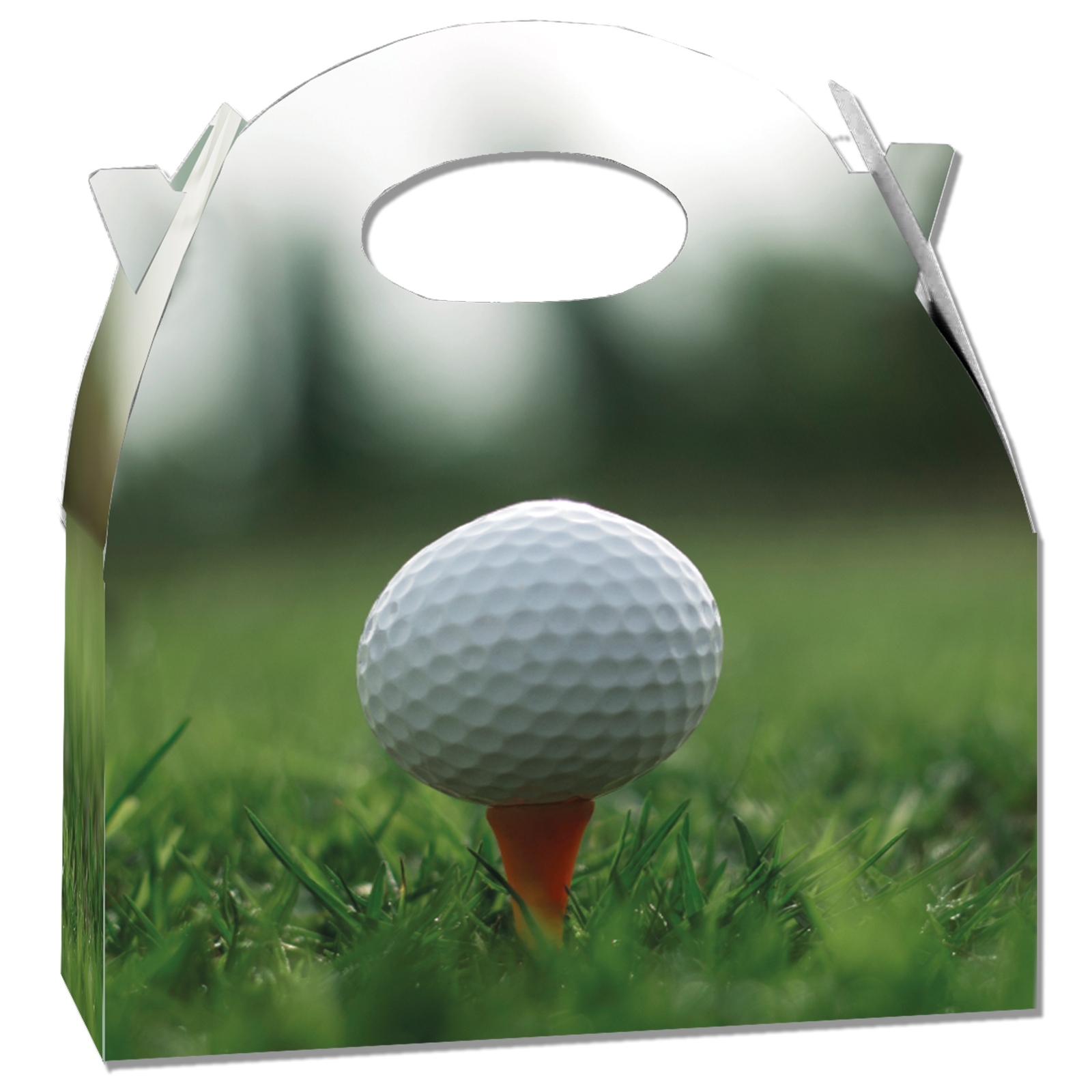 Scatola da golf 20 x 16 x 11 cm