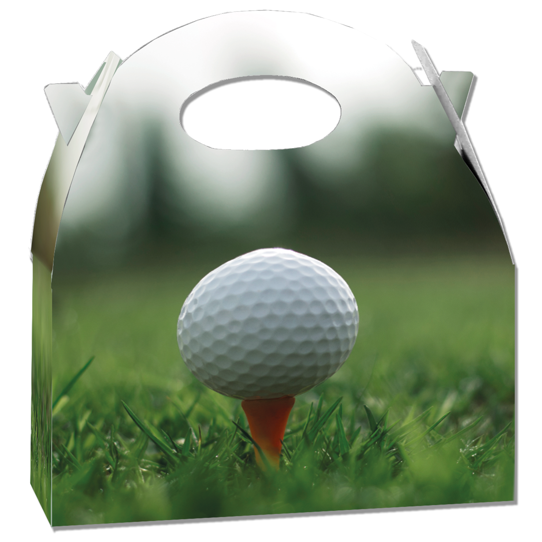 Caja Golf 20 x 16 x 11 cm