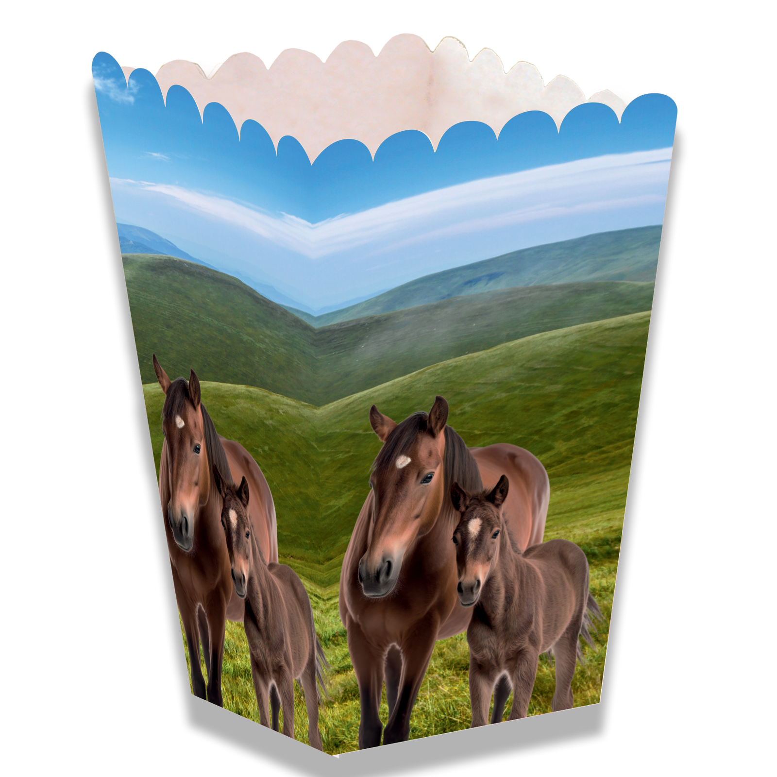 Scatola Cavallo e Pony, 5 x 5 x 12 cm