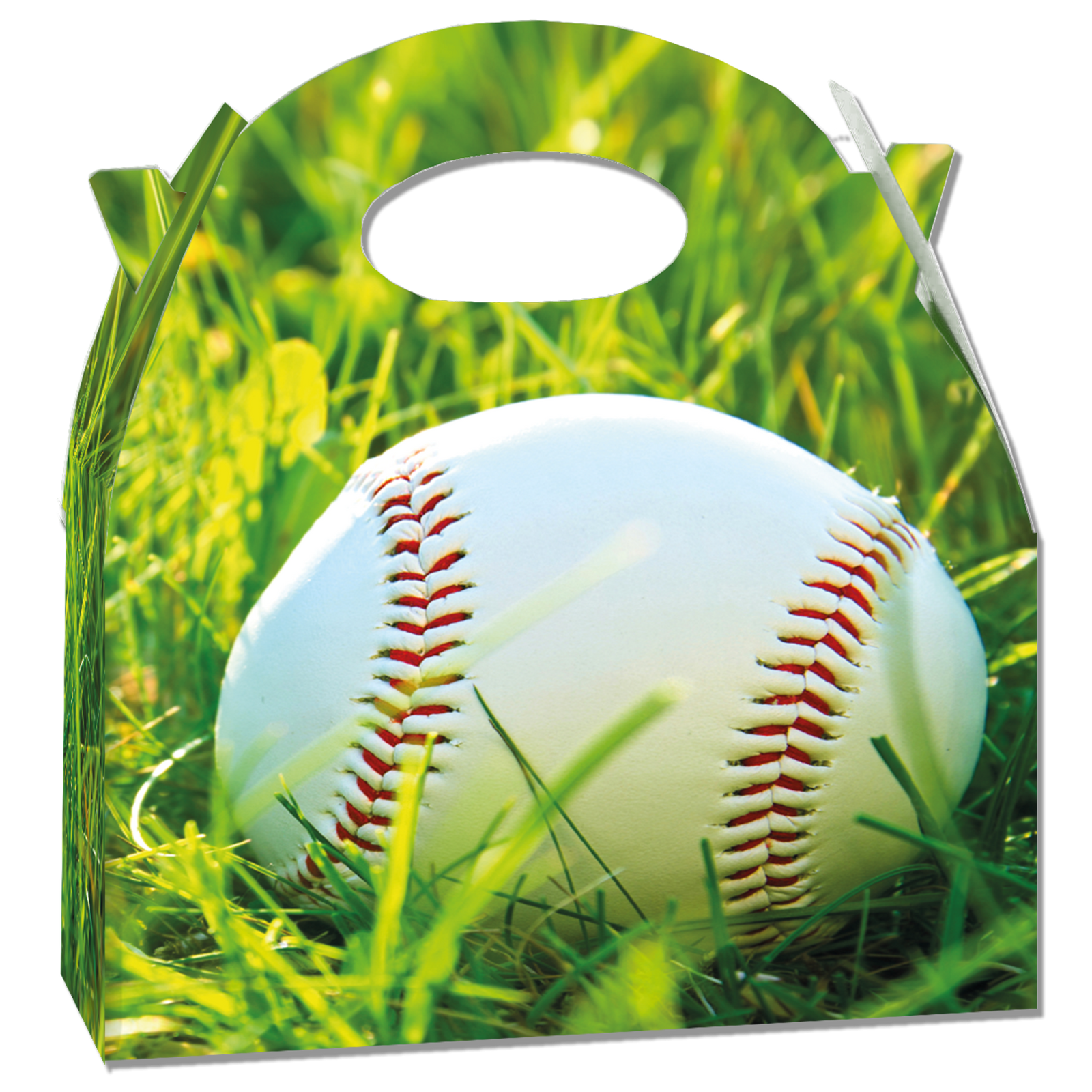Scatola da baseball 20 x 16 x 11 cm