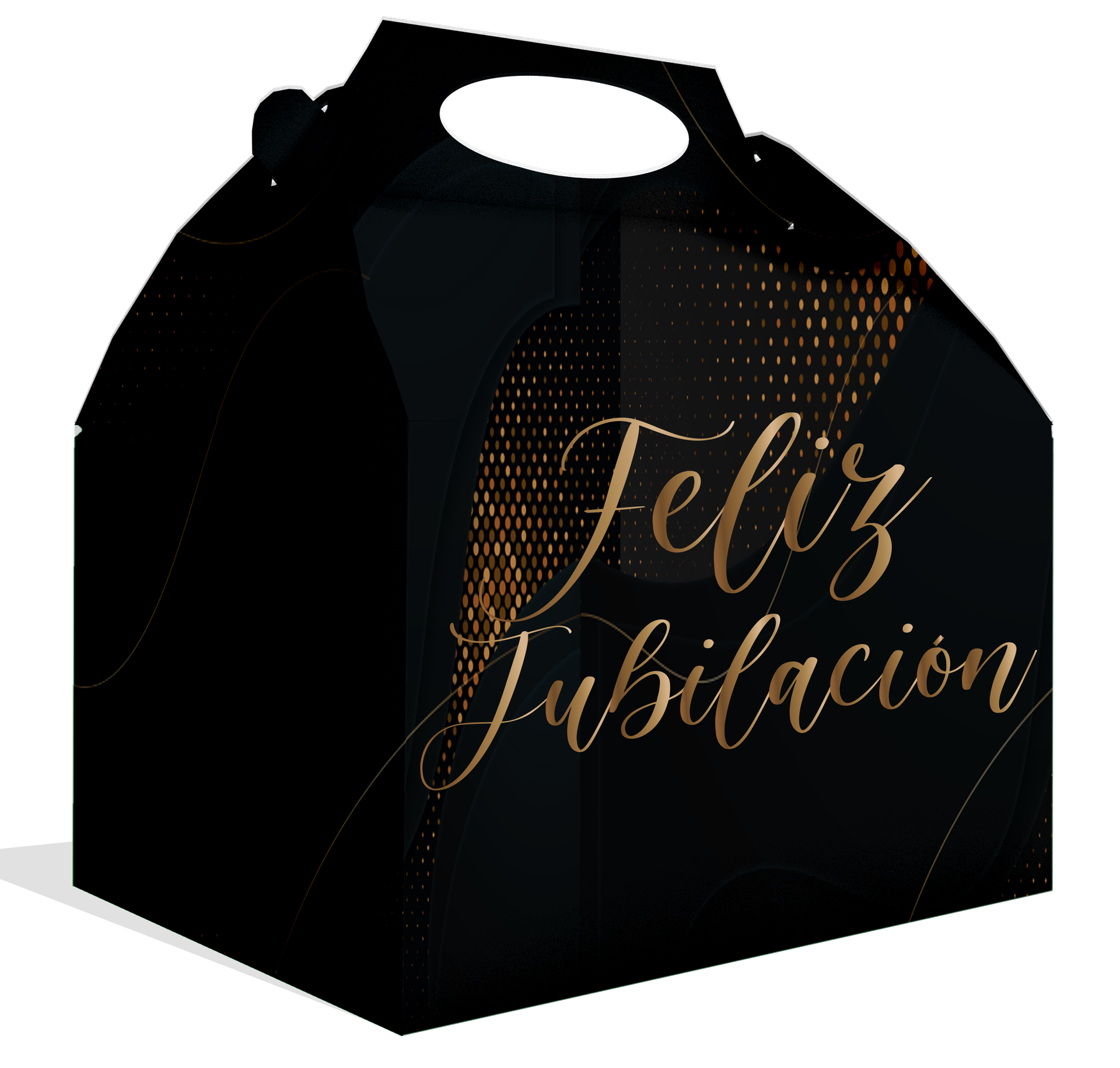 Boîte de retraite 20 x 16 x 11 cm