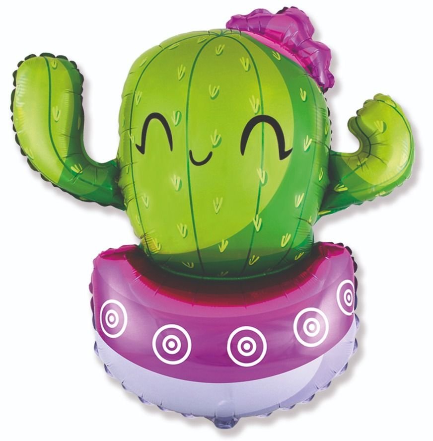 Ballon cactus 91 x 89 cm