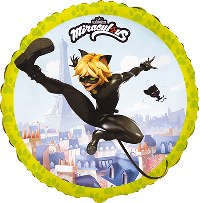 Globo Cat Noir Redondo 46 cm