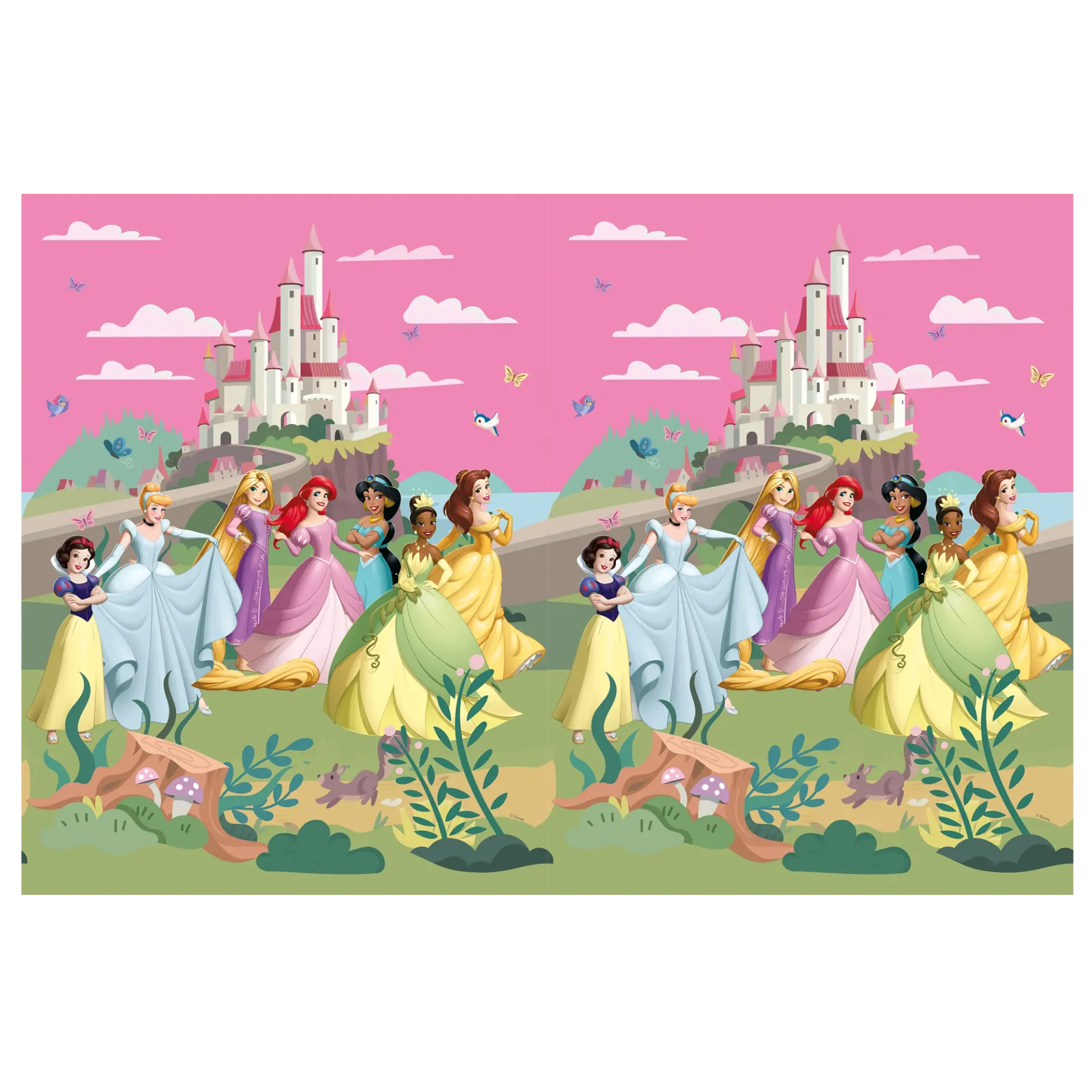 TOVAGLIA PRINCIPESSE DISNEY WORLD 120 x 180