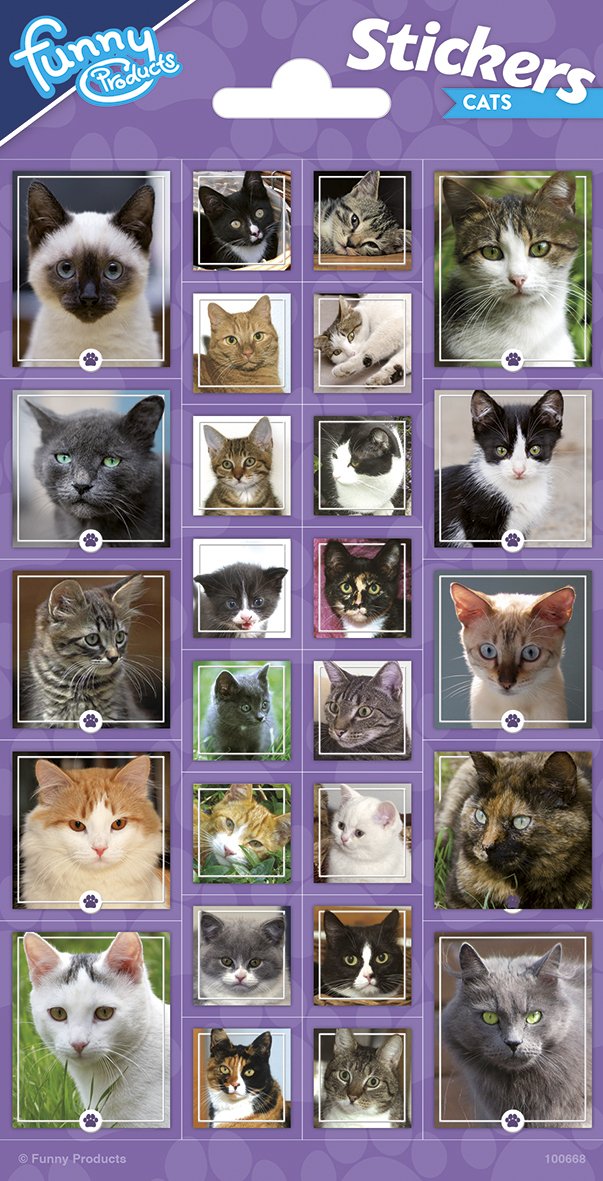 Pegatinas 102 x 200 mm Cats